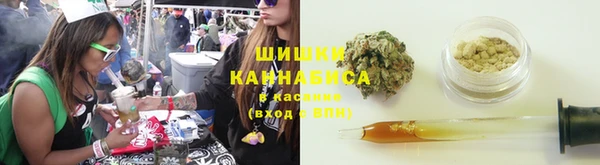 ПСИЛОЦИБИНОВЫЕ ГРИБЫ Алзамай